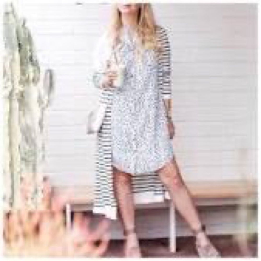 Cabi Camilla shirt dress euc xL